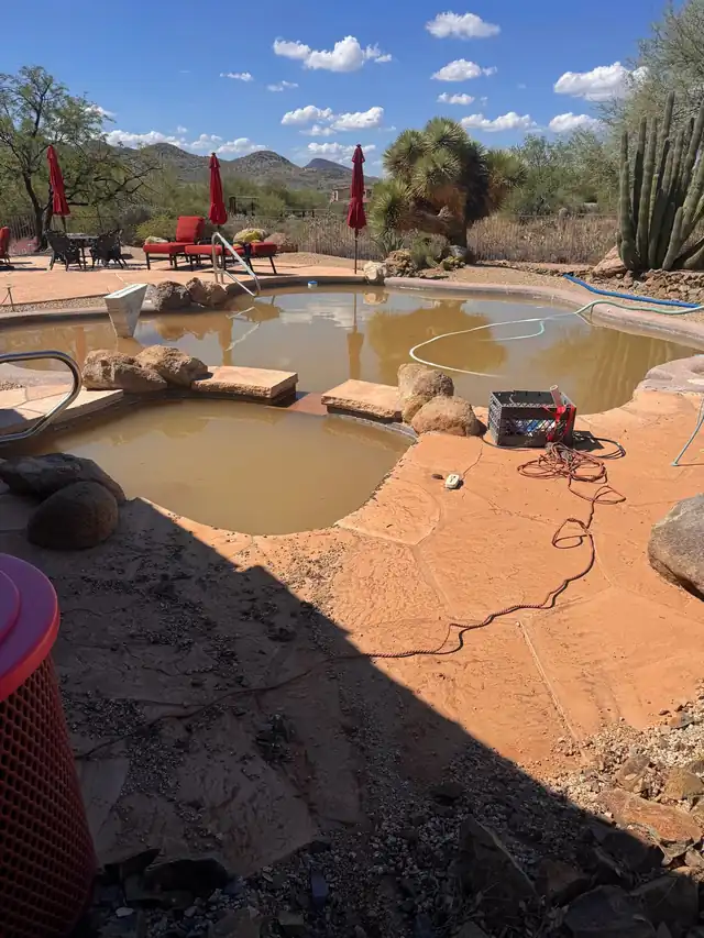 Pool with green, murky water before a cleanup