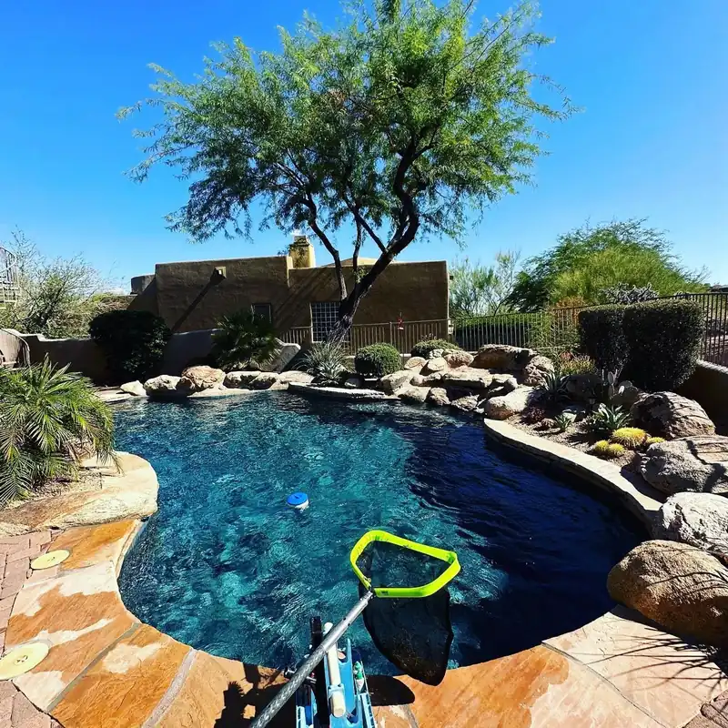 Natural boulder pool with a skimmer net resting on the flagstone